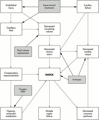 Invasive Meningococcal Disease in the Vaccine Era